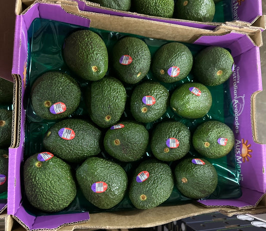 Ausralian Avocado