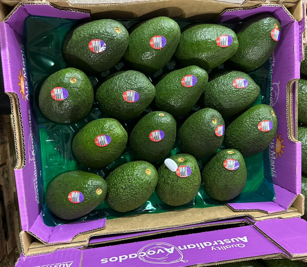 Ausralian Avocado