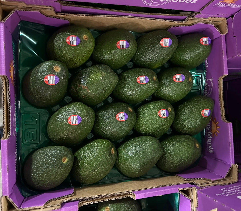 Ausralian Avocado